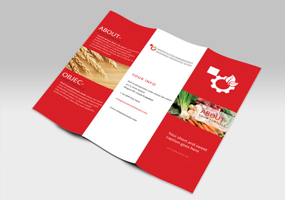 HKKPPS three fold brochure design.