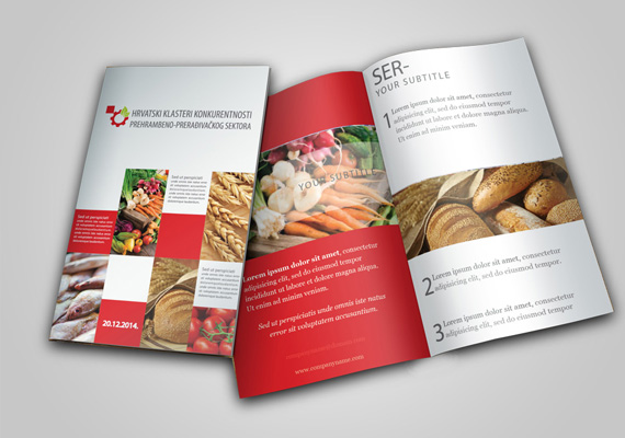 HKKPPS brochure design.